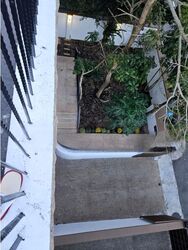 Dunearn Estate (D11), Detached #456131991